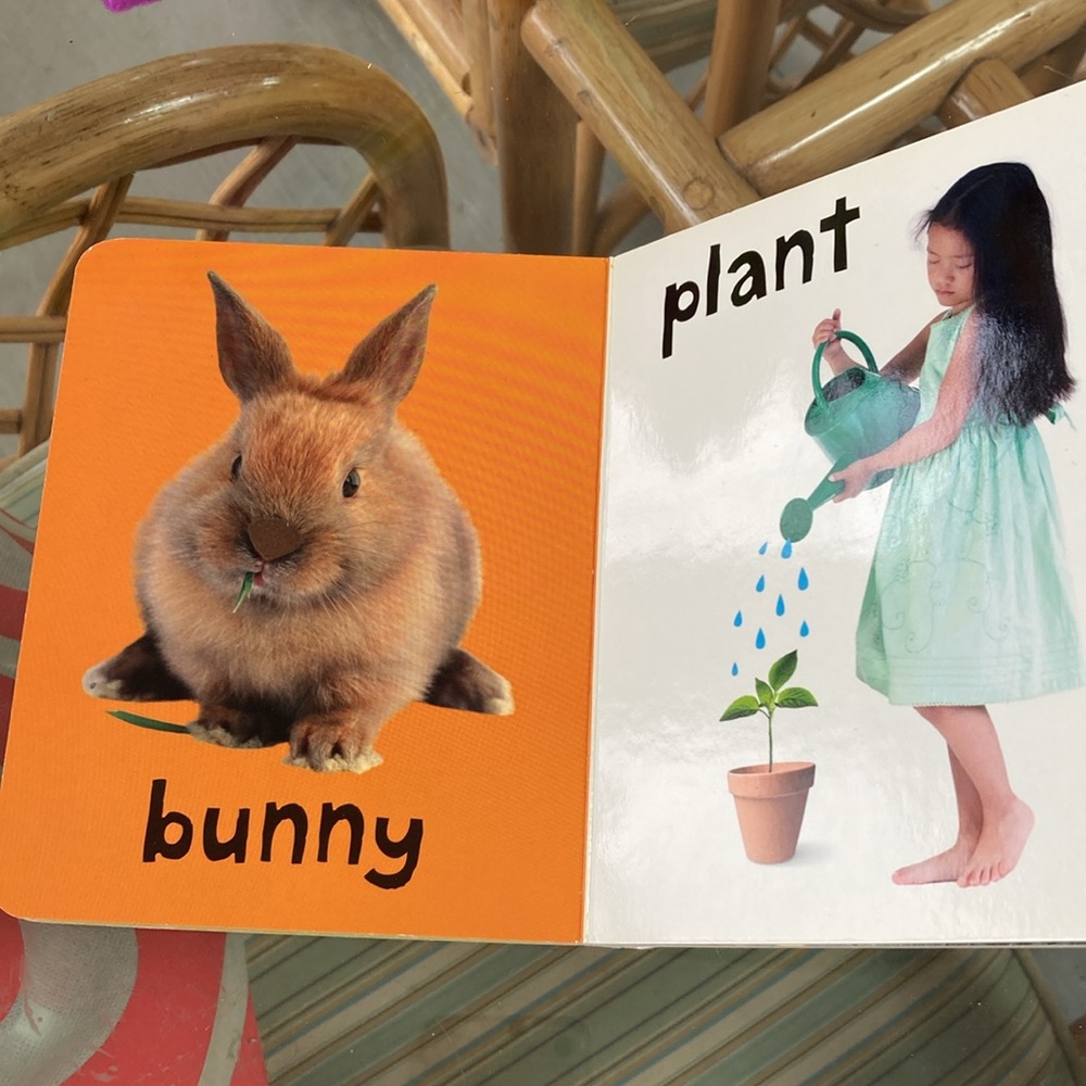 Set of 4 baby board books - Picture 3 of 8
